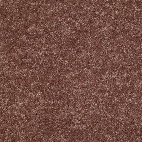 Textured Saxony Dutch Mocha Brown Carpet