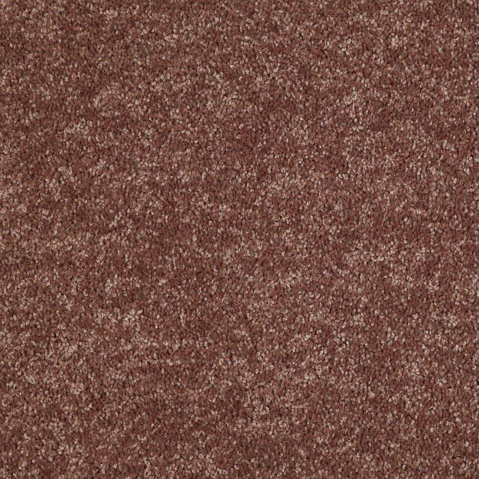 Textured Saxony Dutch Mocha Brown Carpet
