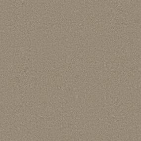 Texture Camelback Brown Carpet