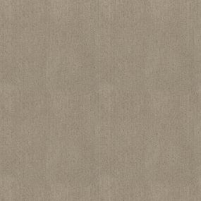Pattern Fine Grain Beige/Tan Carpet