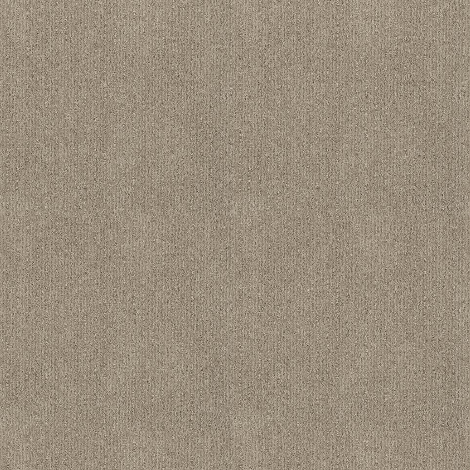 Pattern Fine Grain Beige/Tan Carpet