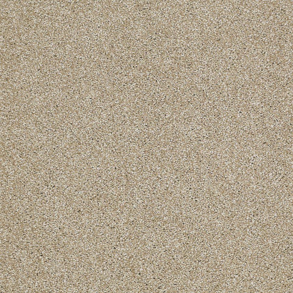 Texture Sahara Beige/Tan Carpet