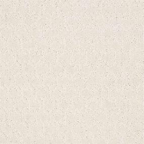 Pattern Smooth Satin Beige/Tan Carpet