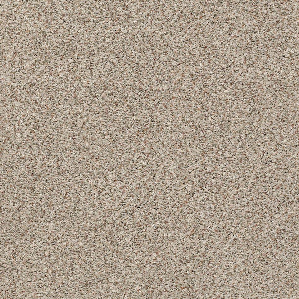 Texture Honey Beige/Tan Carpet
