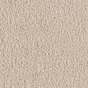 Textured Saxony Vintage Brown Carpet