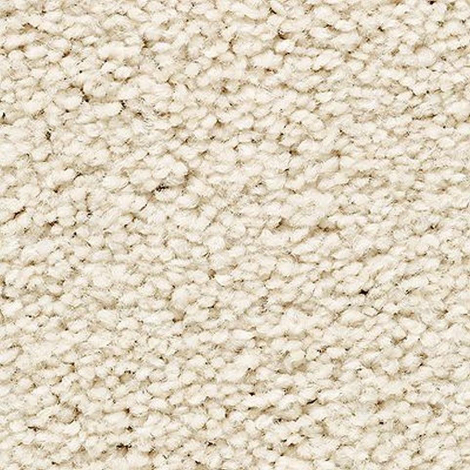 Textured Saxony Gypsy Moth Beige/Tan Carpet