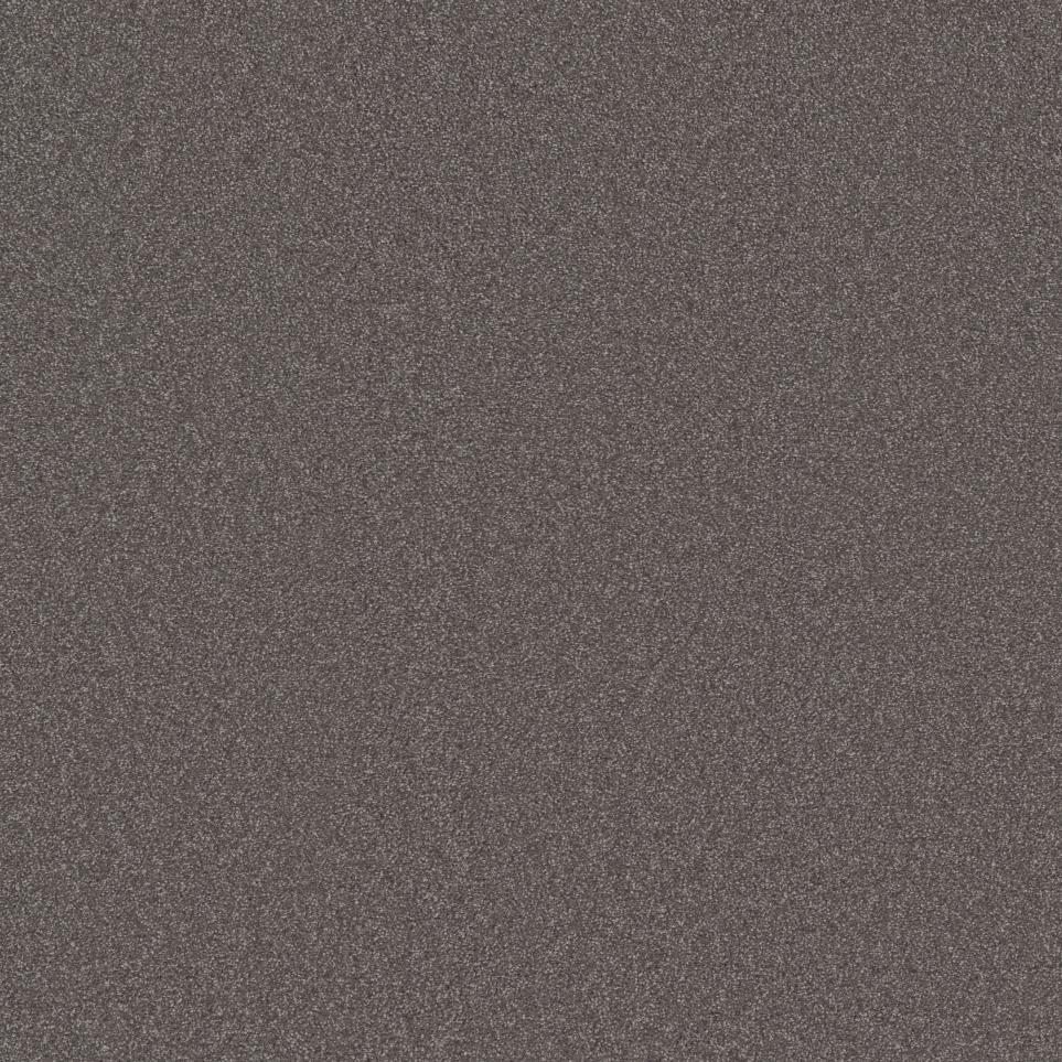 Textured Saxony Asphalt Gray Carpet