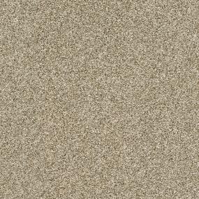 Textured Saxony Desert Beige/Tan Carpet