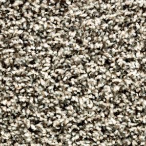 Texture Abalone Beige/Tan Carpet