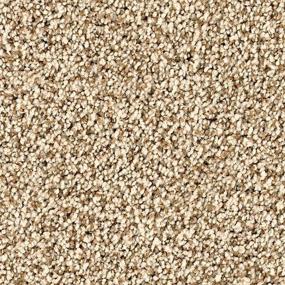 Textured Saxony Majestic Brown Carpet