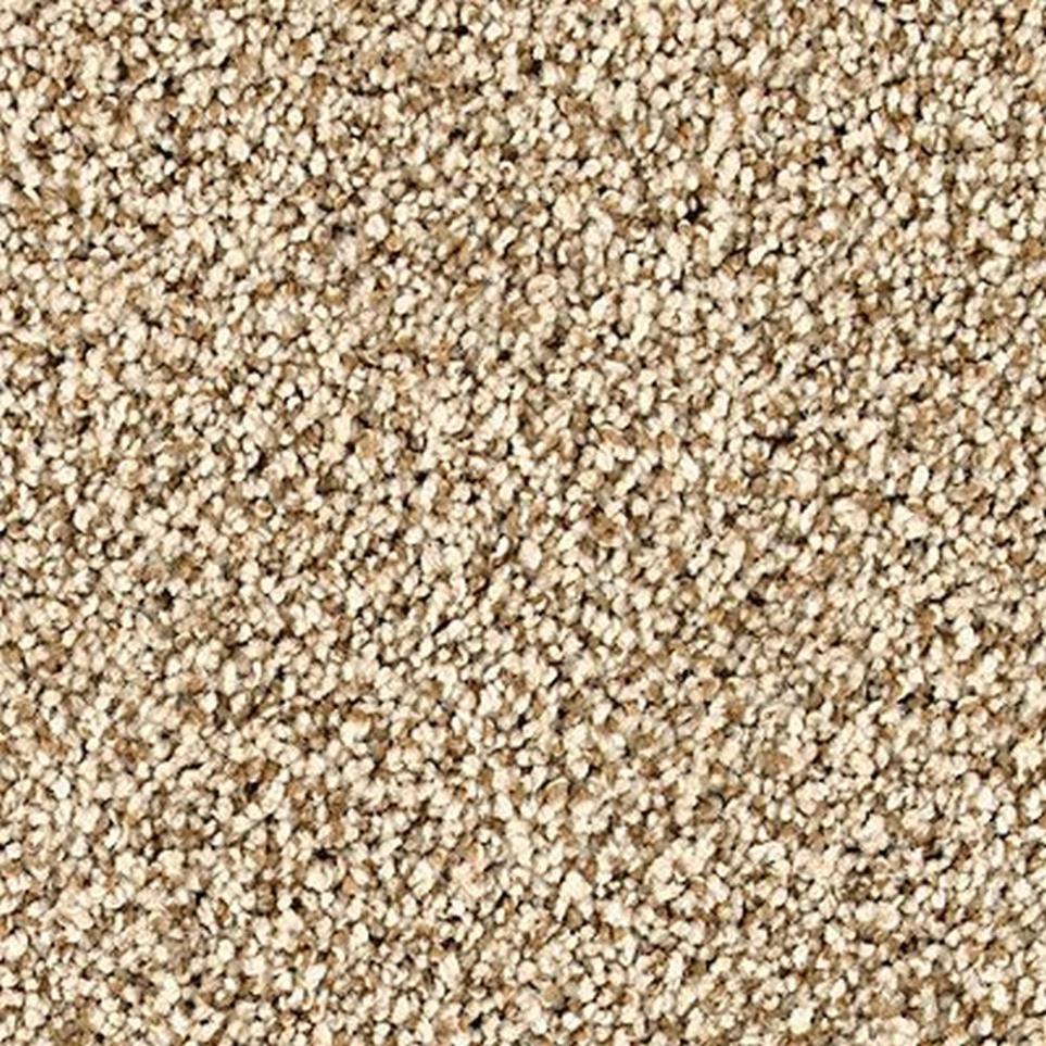 Textured Saxony Majestic Brown Carpet