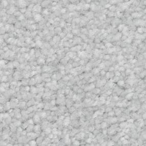 Texture Dreamland Gray Carpet