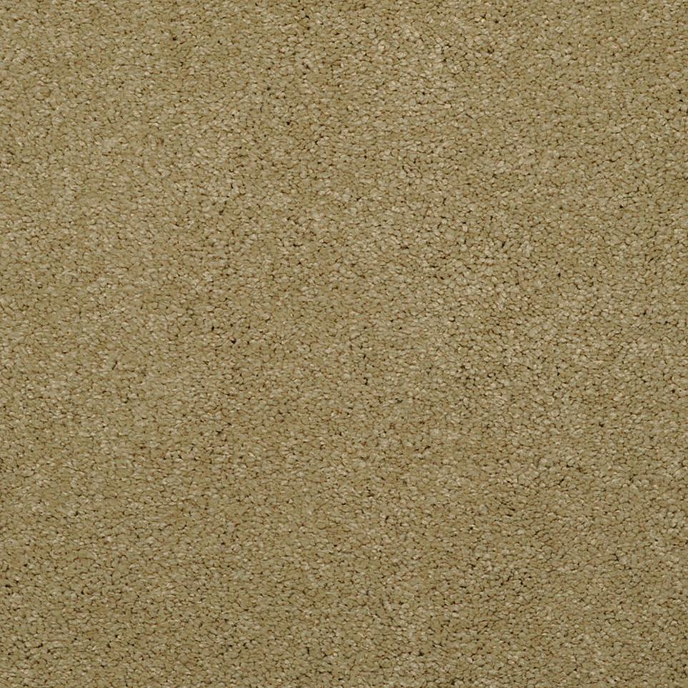 Casual Texture Avocado Beige/Tan Carpet