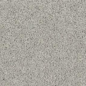 Textured Saxony Mushroom Gray Carpet