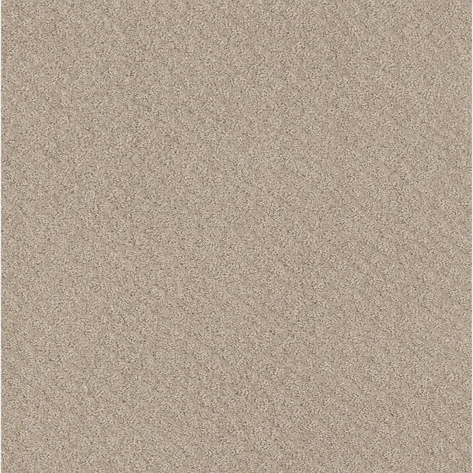 Pattern Chenille Beige/Tan Carpet