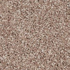 Texture Coffee Brown Carpet