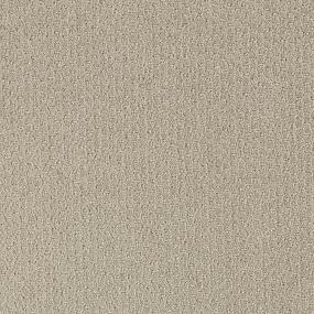 Pattern Reflections Beige/Tan Carpet