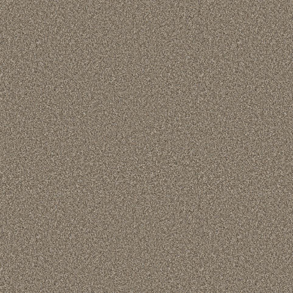 Textured Saxony Boardwalk Beige/Tan Carpet