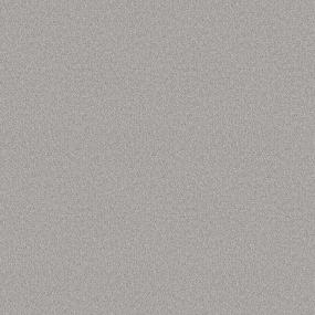 Plush Saxony Silverado Gray Carpet