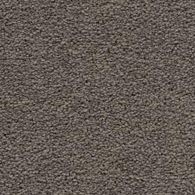 Textured Saxony Vision Gray Carpet