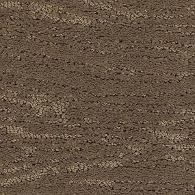 Pattern Mansion Brown Carpet