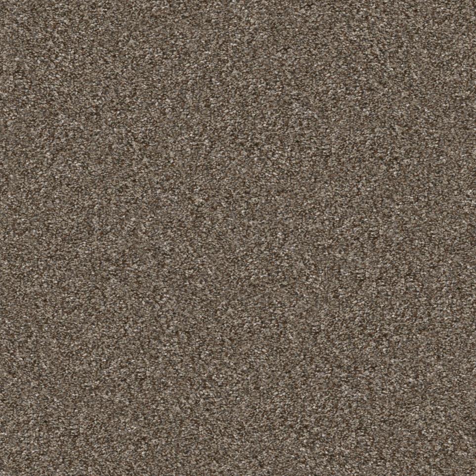 Casual Texture Radiant Brown Carpet