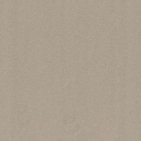 Casual Texture Seagrass Beige/Tan Carpet
