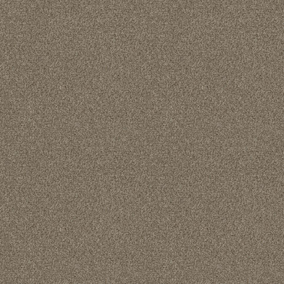 Texture Bran Beige/Tan Carpet