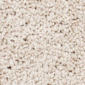 Textured Saxony Toasted Almond Beige/Tan Carpet