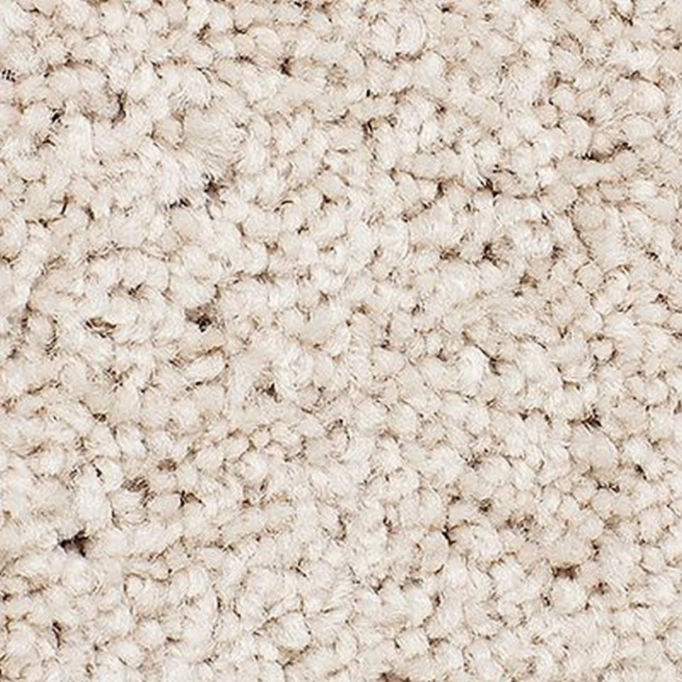 Textured Saxony Toasted Almond Beige/Tan Carpet