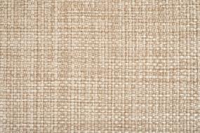 Pattern Pumice Beige/Tan Carpet
