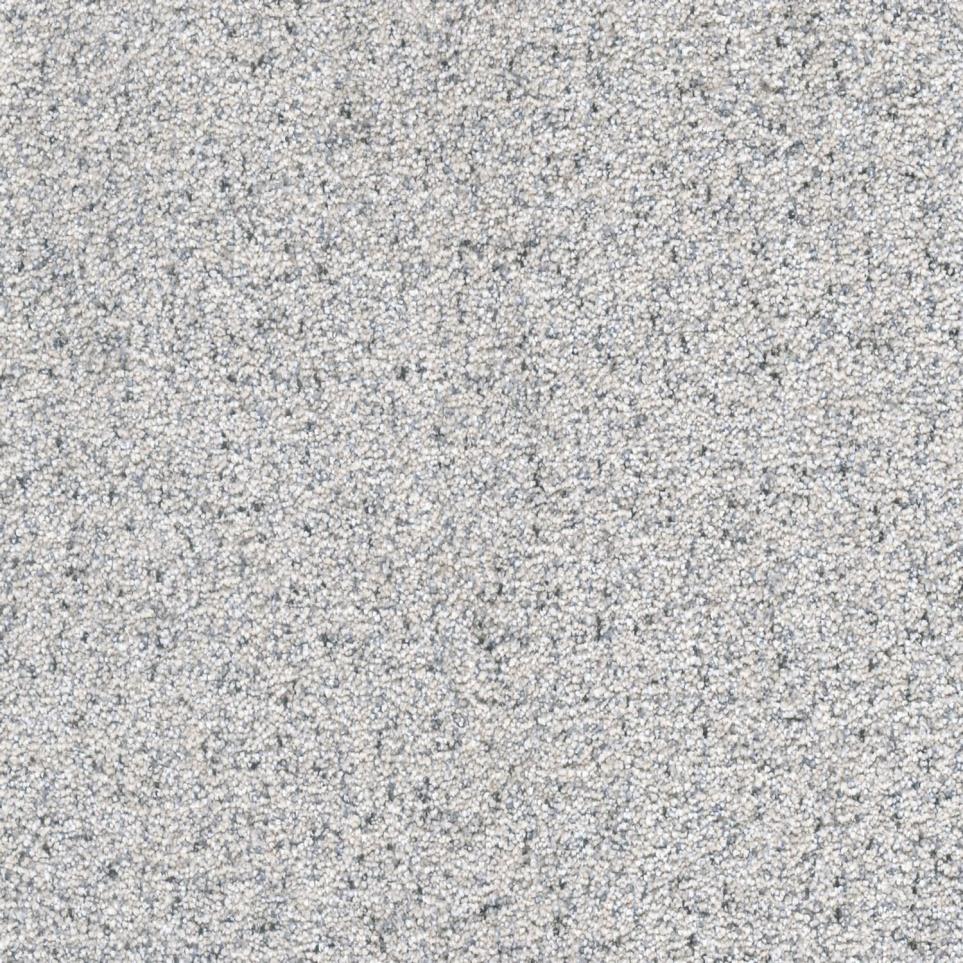 Texture Treasured Touch Gray Carpet