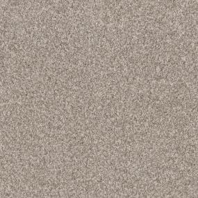 Casual Texture Neutral Ground Beige/Tan Carpet