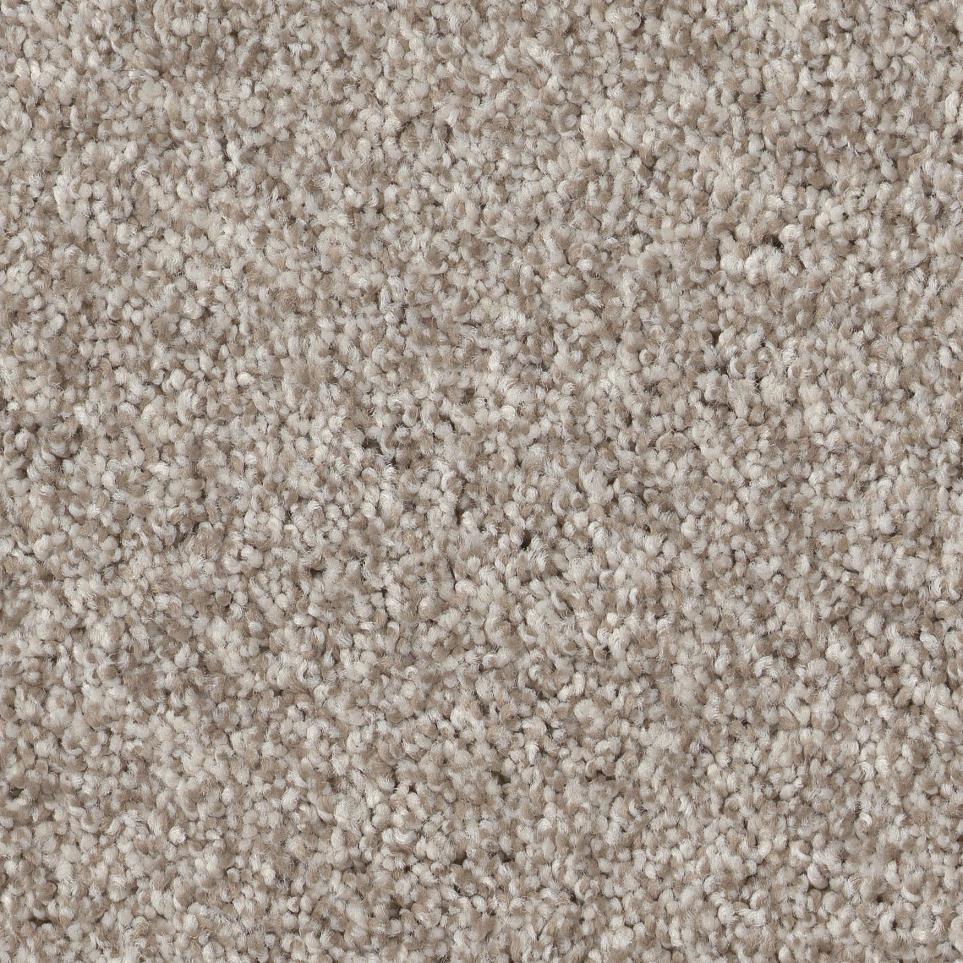 Frieze Neutral Ground Beige/Tan Carpet