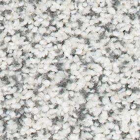 Textured Saxony Magnolia Gray Carpet