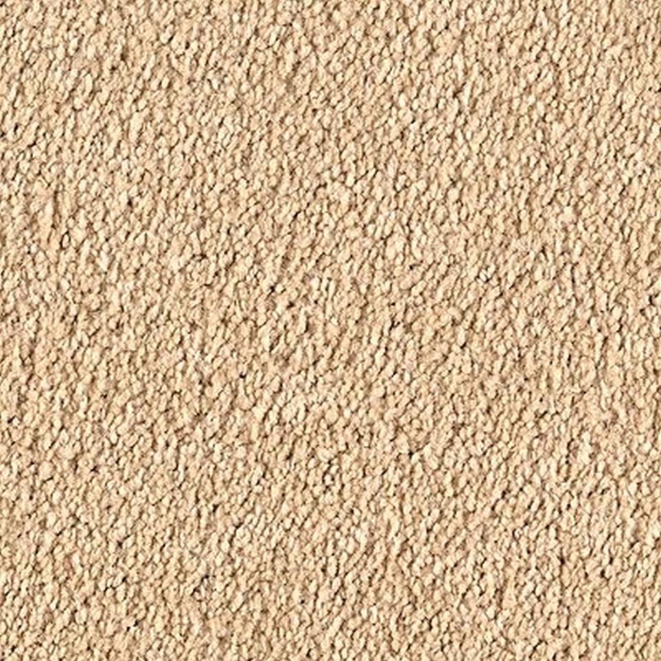 Textured Saxony Moonbeam Beige/Tan Carpet