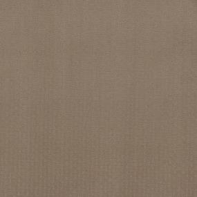 Pattern Carmelita Beige/Tan Carpet