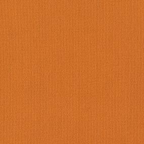 Loop Pumpkin Pie Orange Carpet