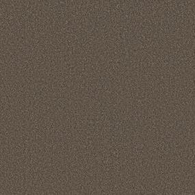 Textured Saxony Coffee Brown Carpet