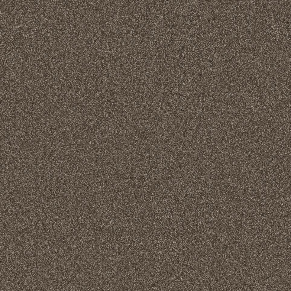 Textured Saxony Coffee Brown Carpet