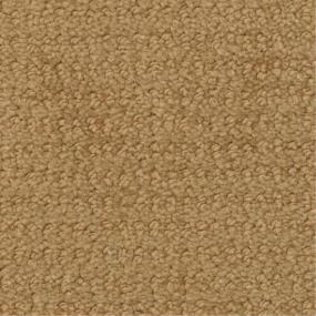 Pattern Woodside Beige/Tan Carpet