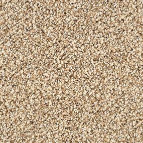 Textured Saxony Heirloom Beige/Tan Carpet