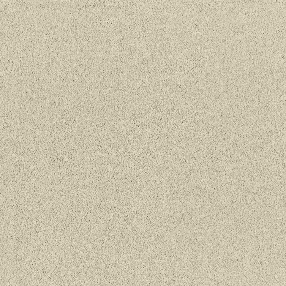 Texture Chamois Cloth Beige/Tan Carpet