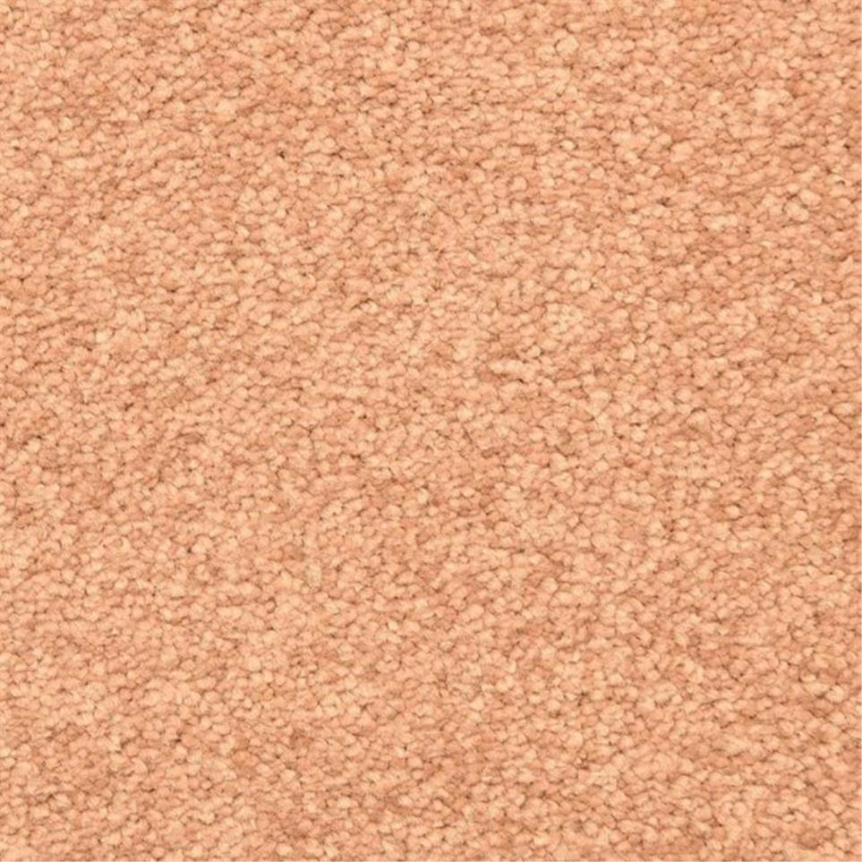 Casual Texture Copper  Brown Carpet
