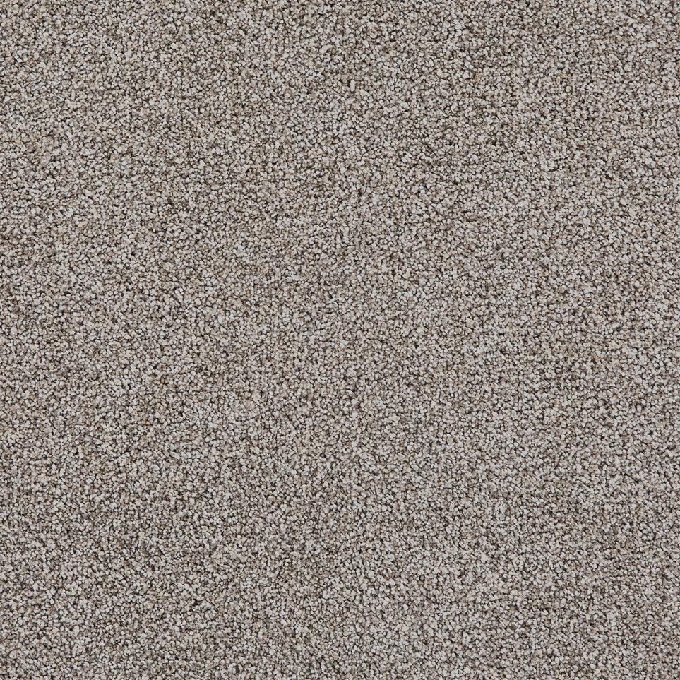 Cut Pile TIRAMISU Gray Carpet