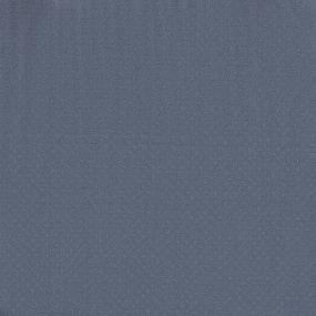 Pattern Steel Blue Blue Carpet