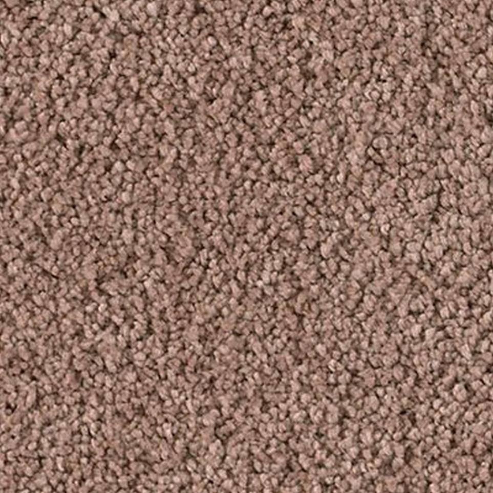 Textured Saxony Abloom Brown Carpet