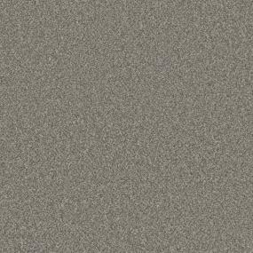 Textured Saxony Century Beige/Tan Carpet