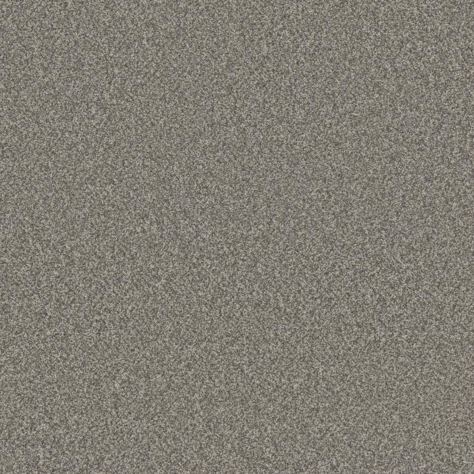 Textured Saxony Century Beige/Tan Carpet