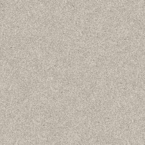 Casual Texture Illusion Beige/Tan Carpet
